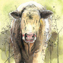 Cow - Alex Clark card